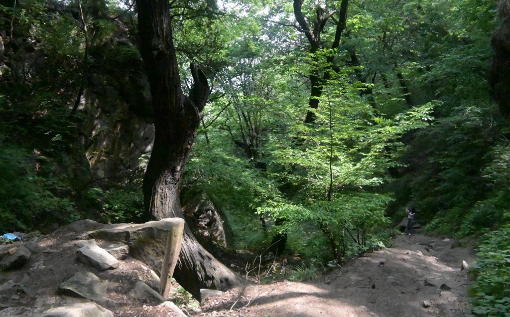 秦岭小五台随拍