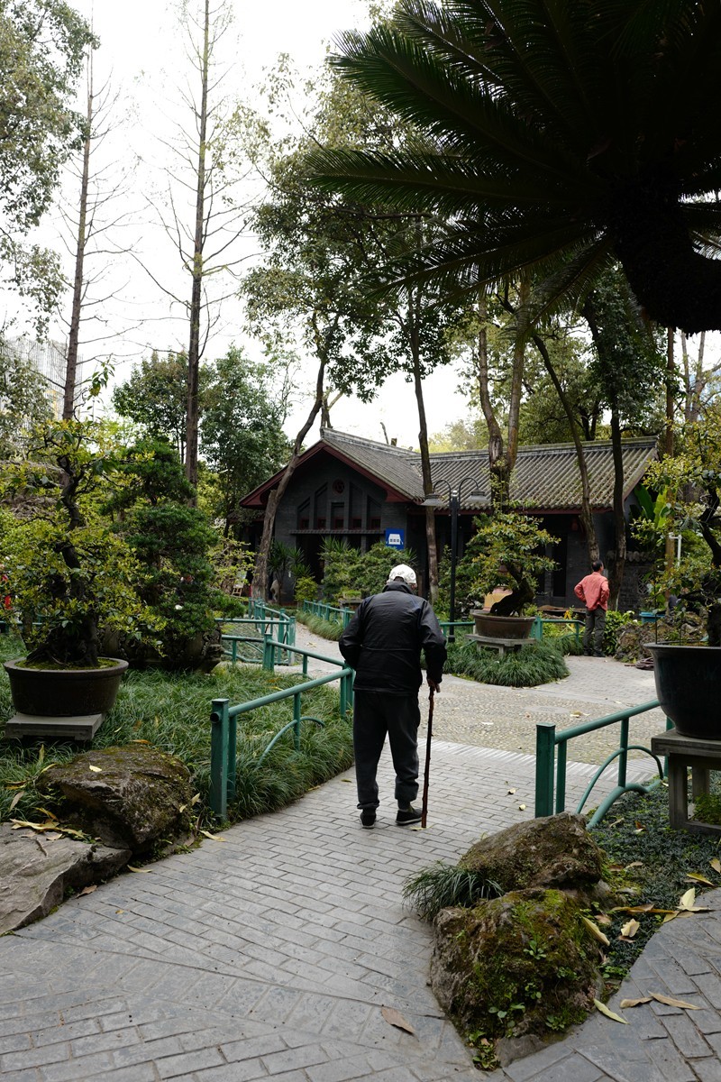 成都之行——人民公园（6）