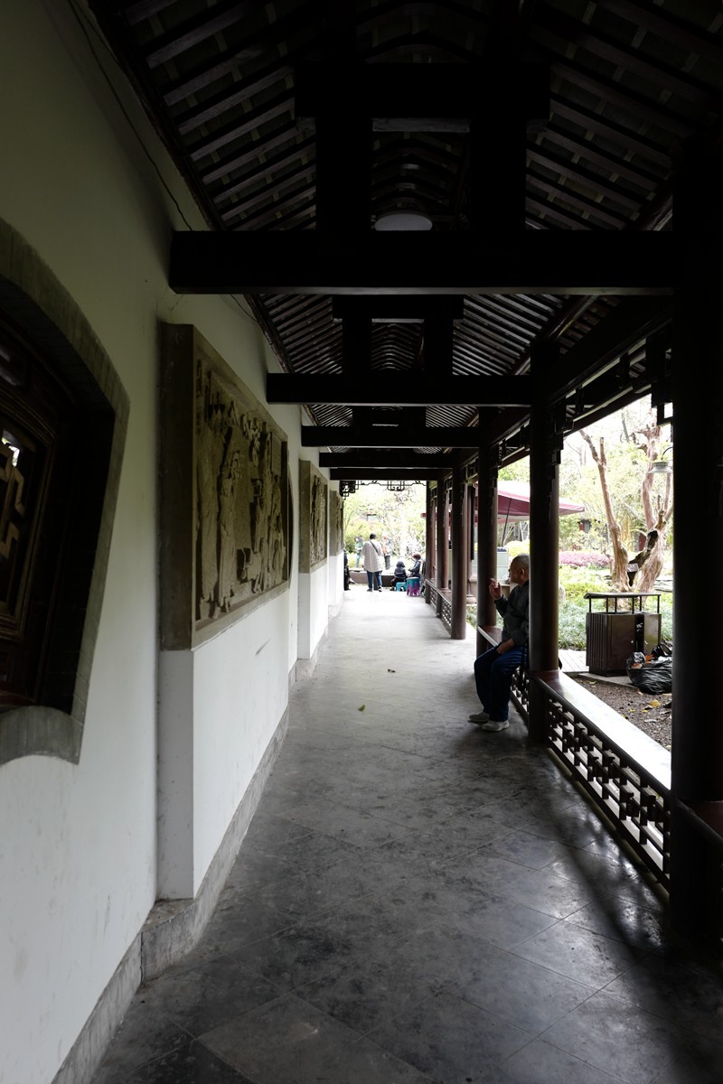 成都之行——人民公园（6）