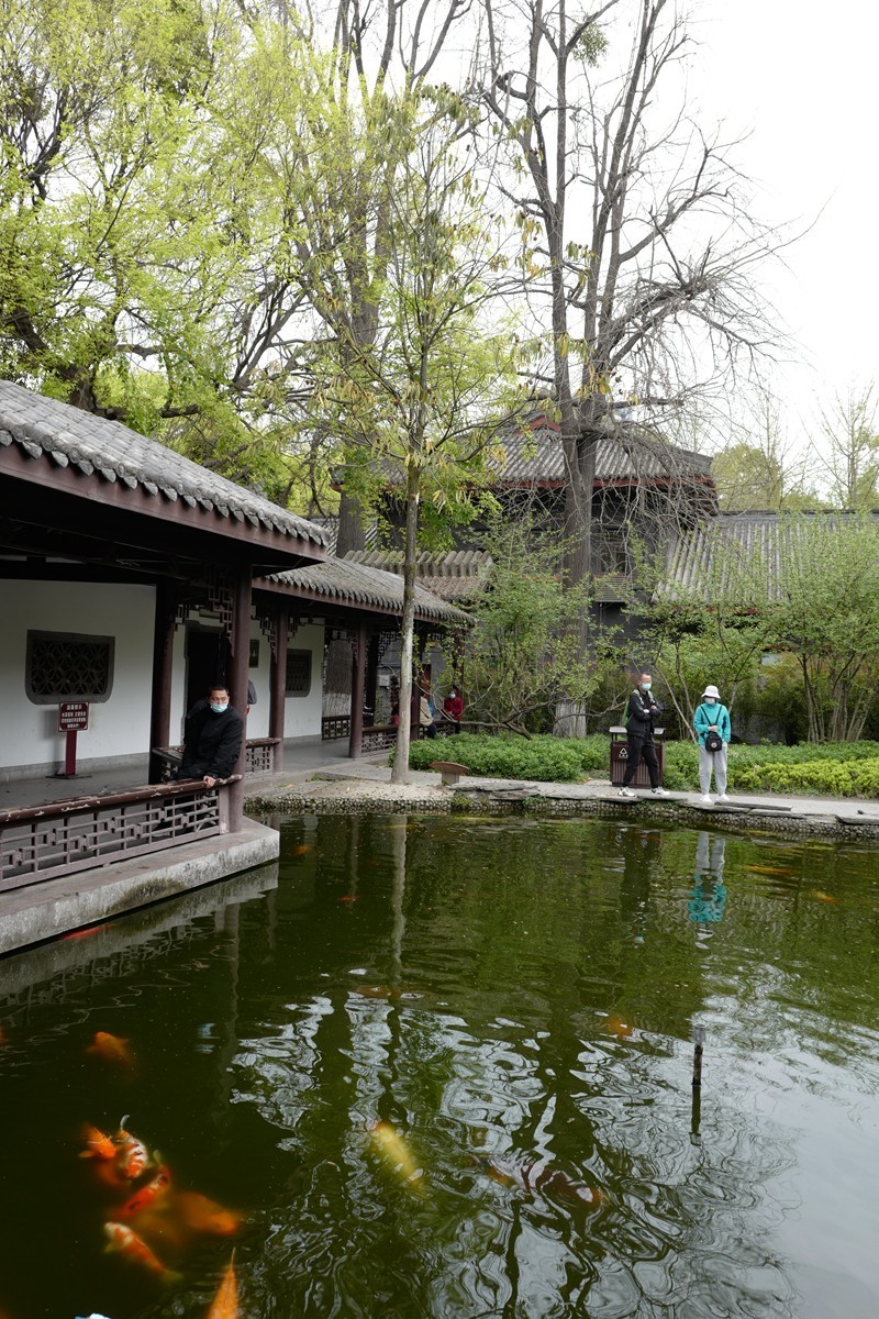 成都之行——人民公园（6）