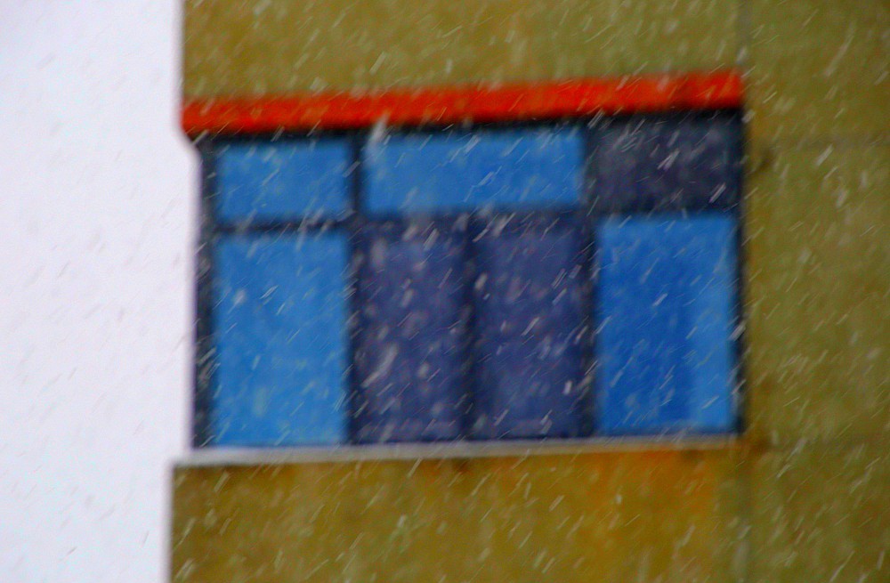 【不老松：纪实摄影】下雪天拍雪！（在室内通过防盗窗！）