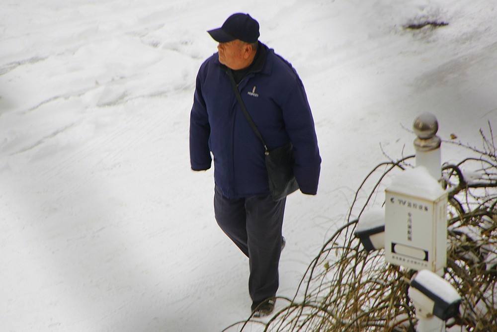 【不老松：纪实摄影】下雪天拍雪！（在室内通过防盗窗！）