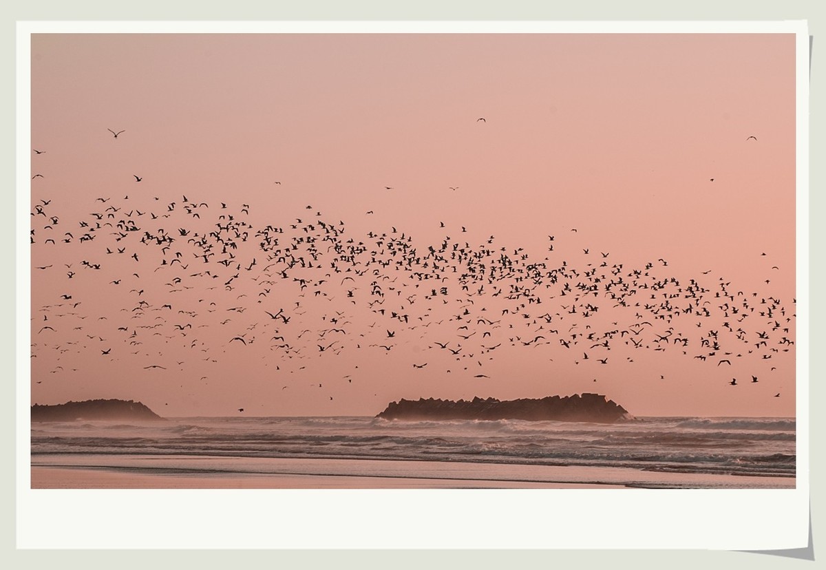 北非海滩（摩洛哥）