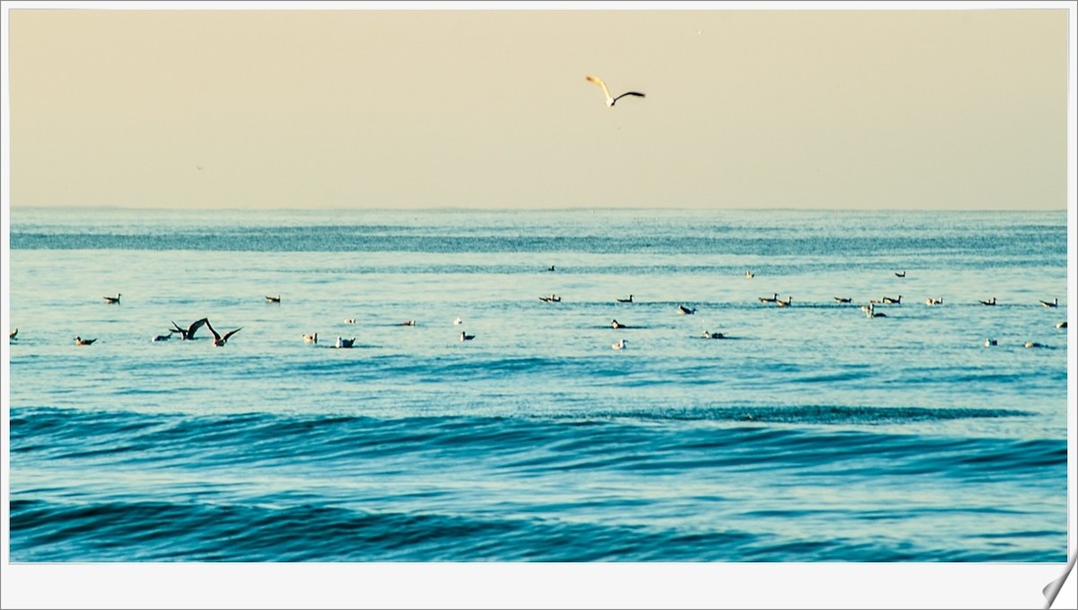 北非海滩（摩洛哥）