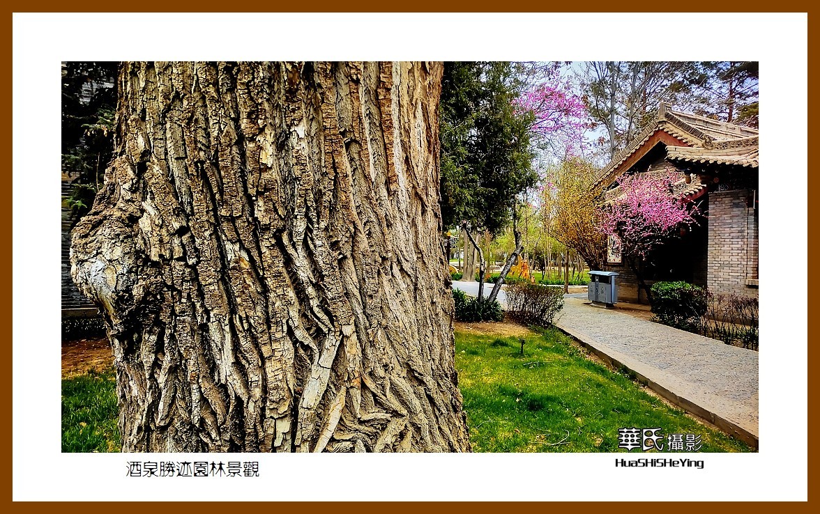 2023西行游记（甘肃051）—酒泉胜迹园林景观（酒泉市）