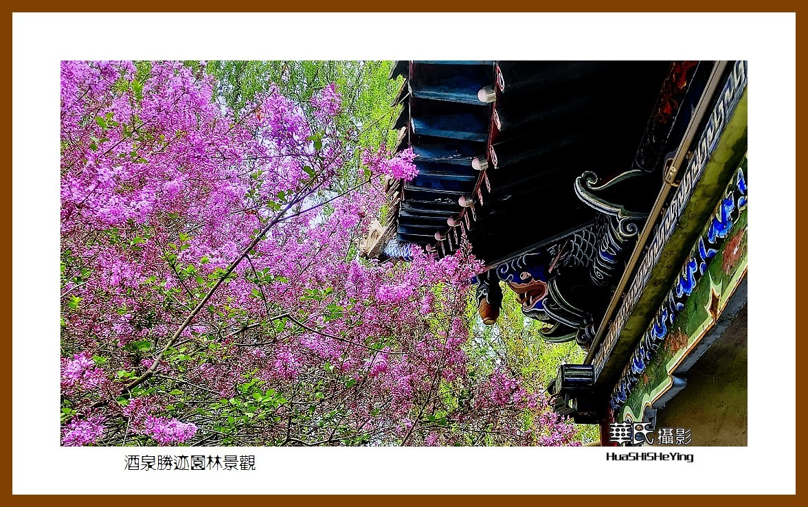 2023西行游记（甘肃051）—酒泉胜迹园林景观（酒泉市）