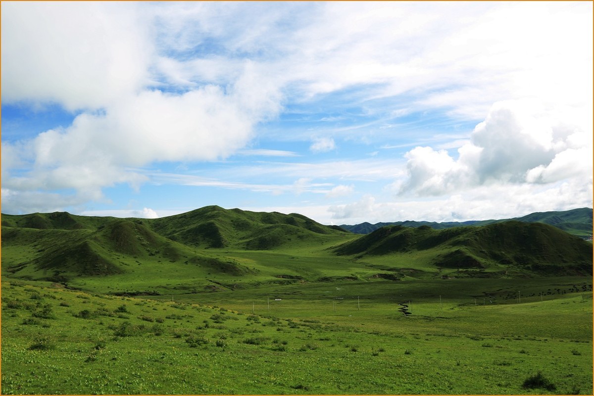 自驾若尔盖—阿坝草原光影