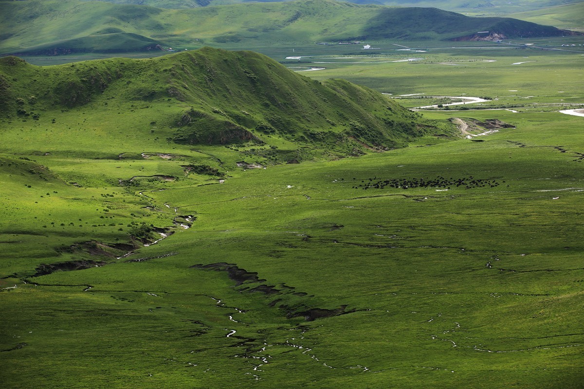 自驾若尔盖—阿坝草原光影