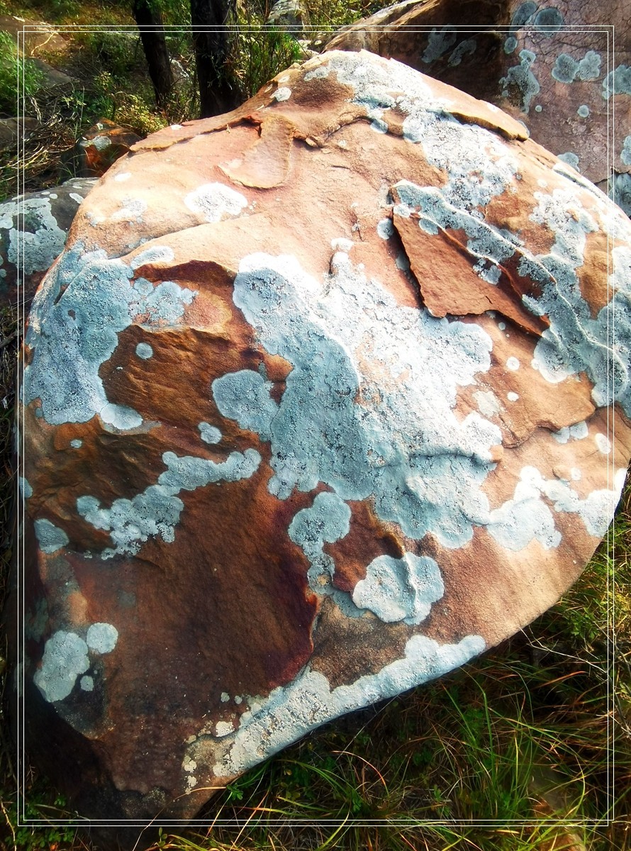 山里的石头【4】