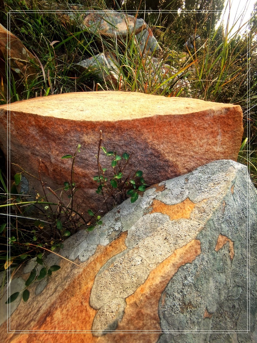 山里的石头【4】