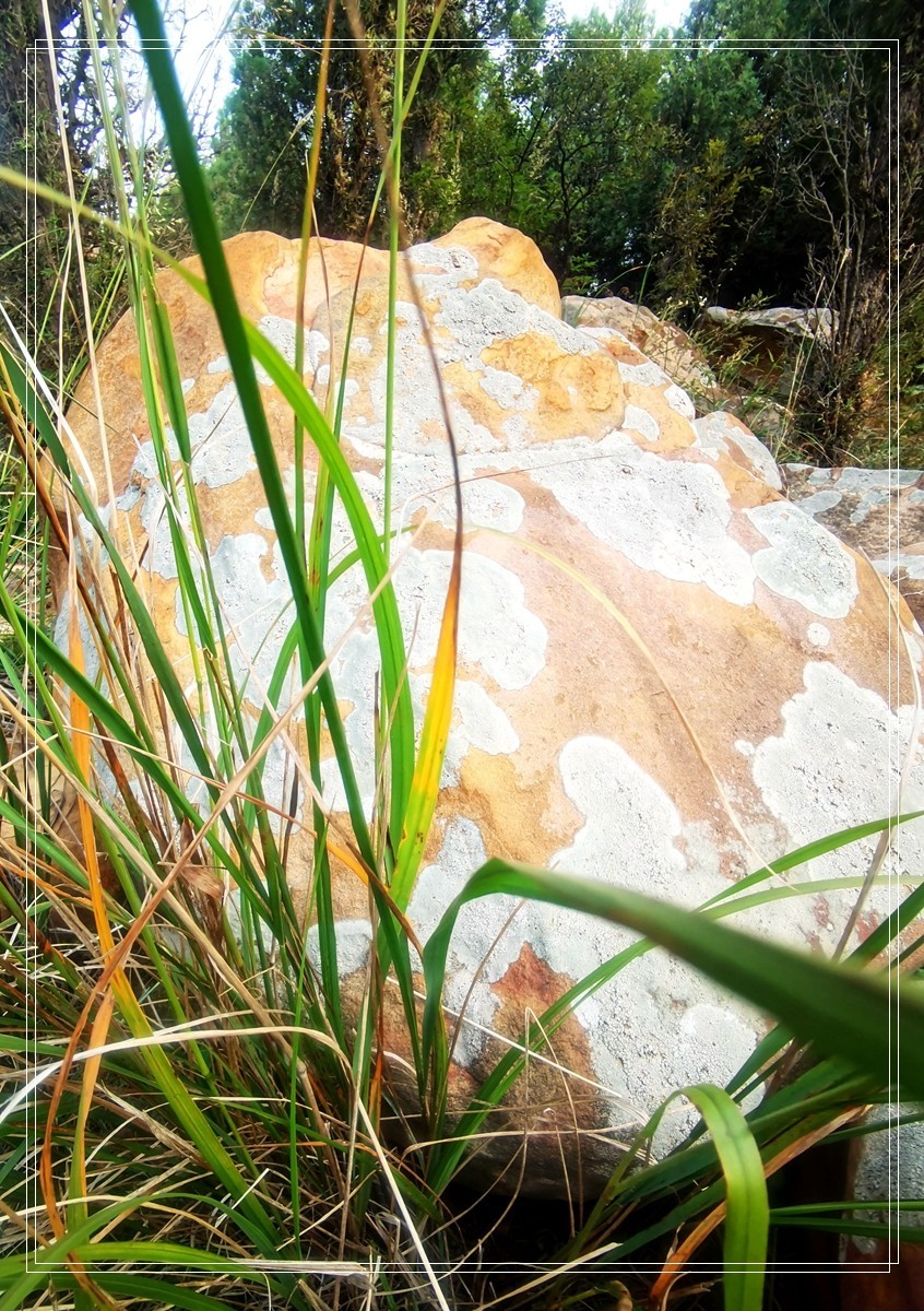 山里的石头【4】