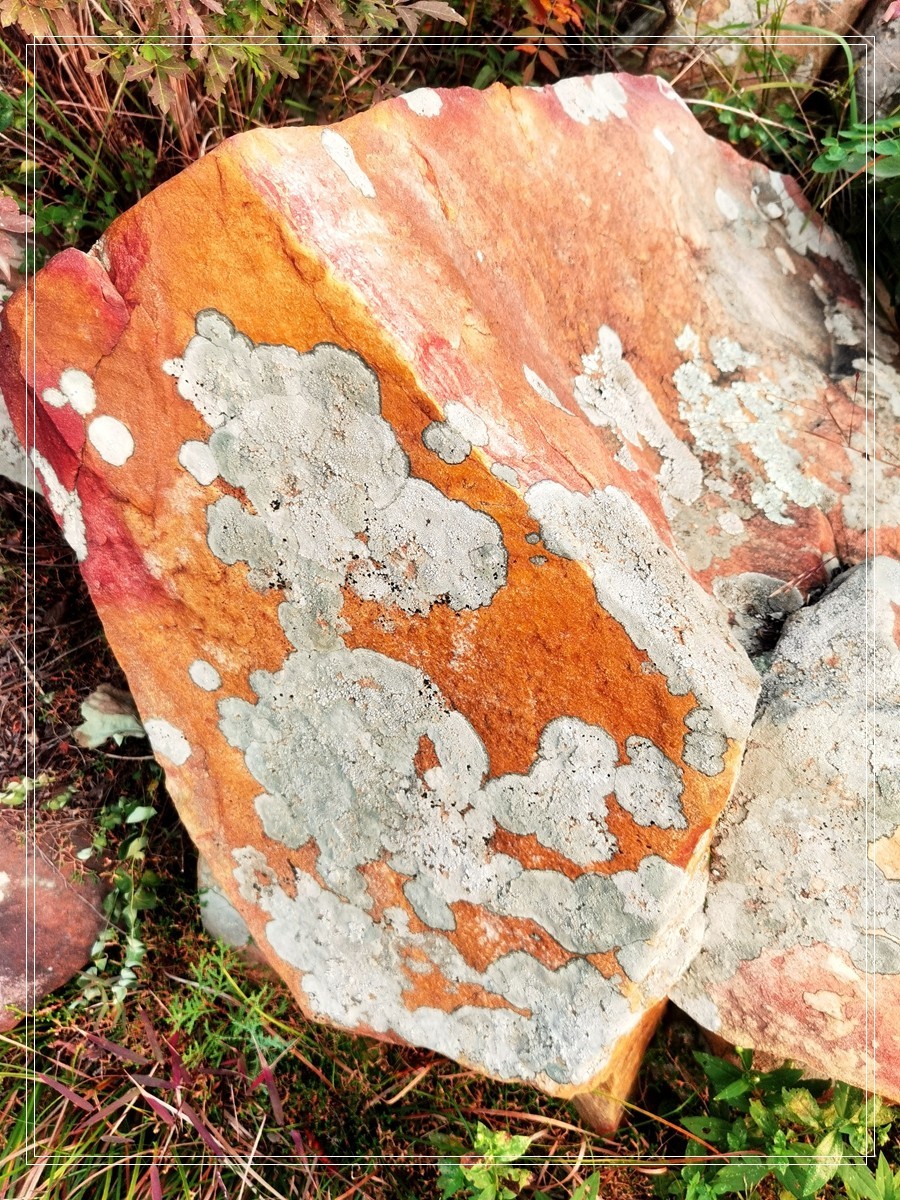 山里的石头【4】