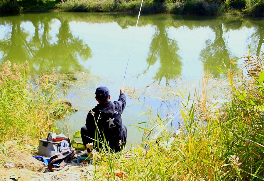 《不老松：纪实摄影》大美沧州系列報道：大运河畔钓鱼人！(3)
