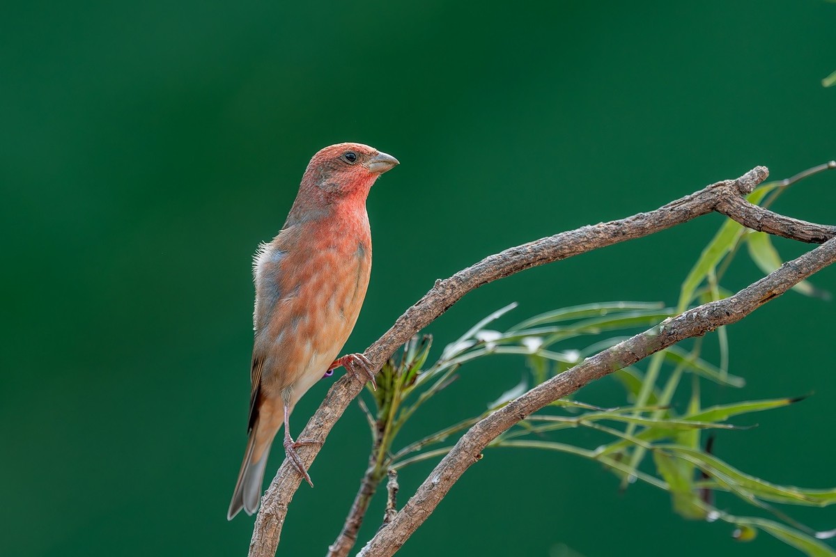 蛇年伊始，祝各位老师新的一年身体健康、阖家幸福、万事如意！
