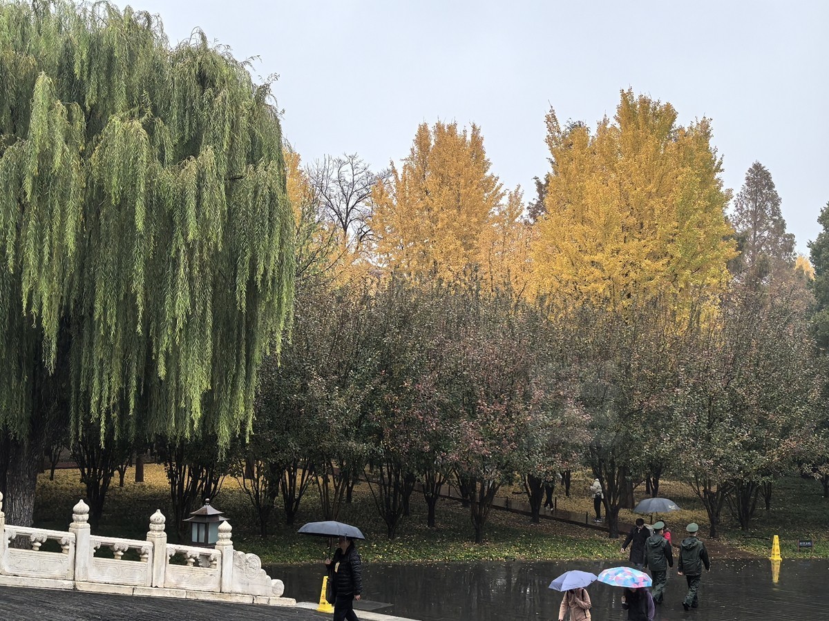 故宫18*秋雨——北京行摄
