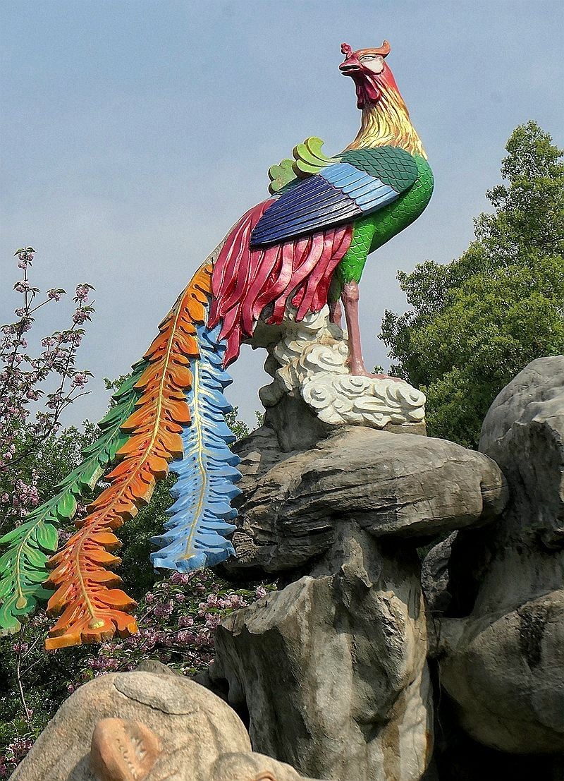 再拍东湖牡丹园