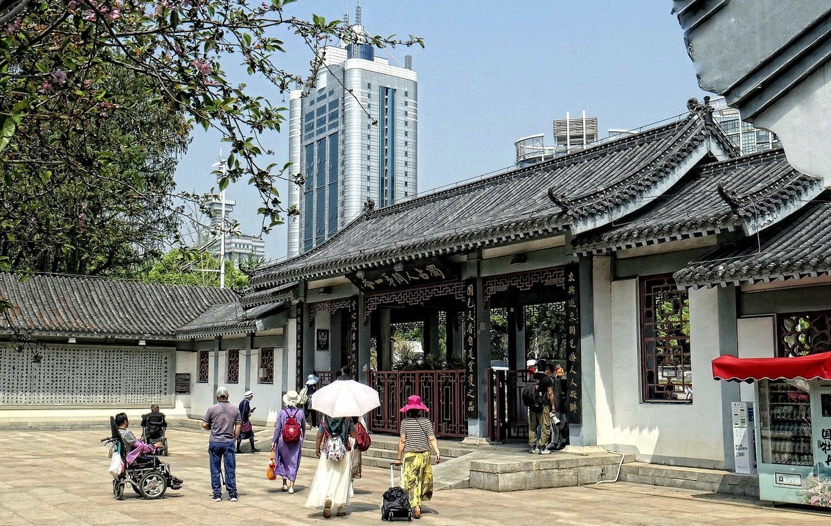 再拍东湖牡丹园