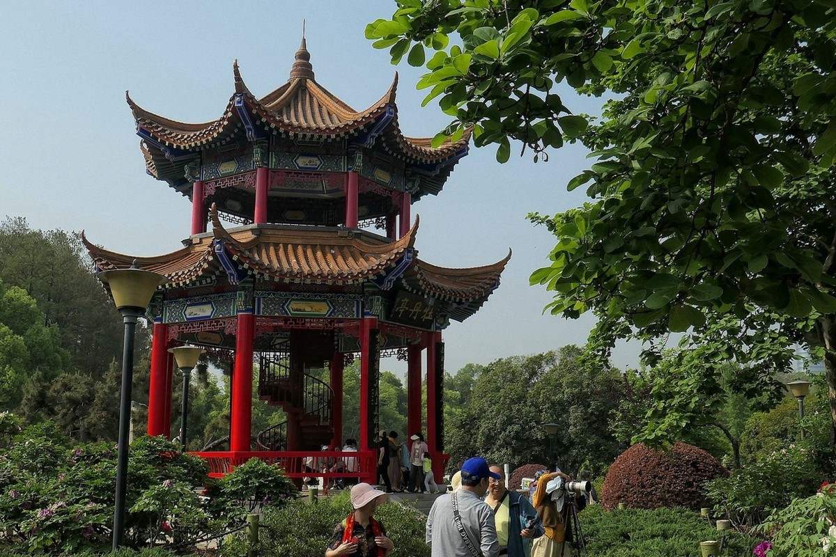 再拍东湖牡丹园