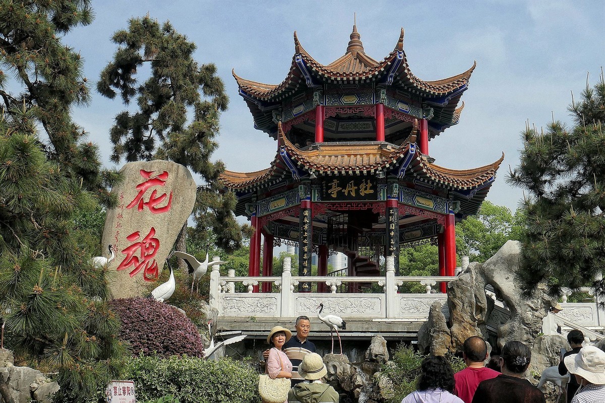 再拍东湖牡丹园