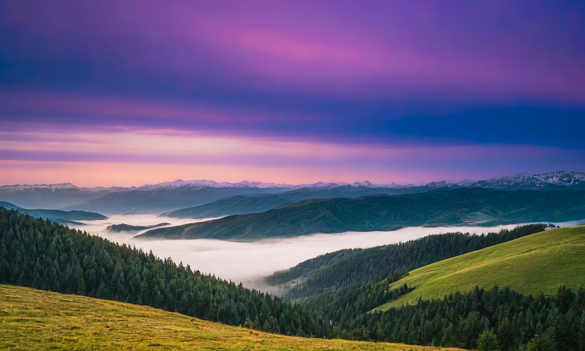 心灵在宁静中洗涤重生