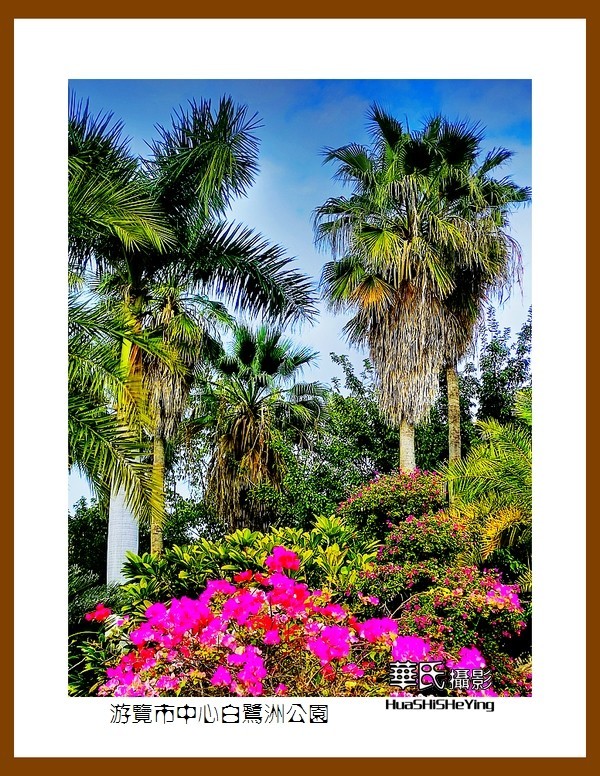 2022南行慢游（福建063）—游览市中心白鹭洲公园（厦门市）