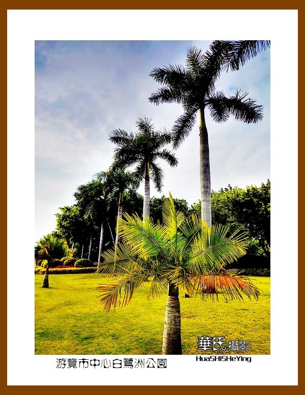 2022南行慢游（福建063）—游览市中心白鹭洲公园（厦门市）