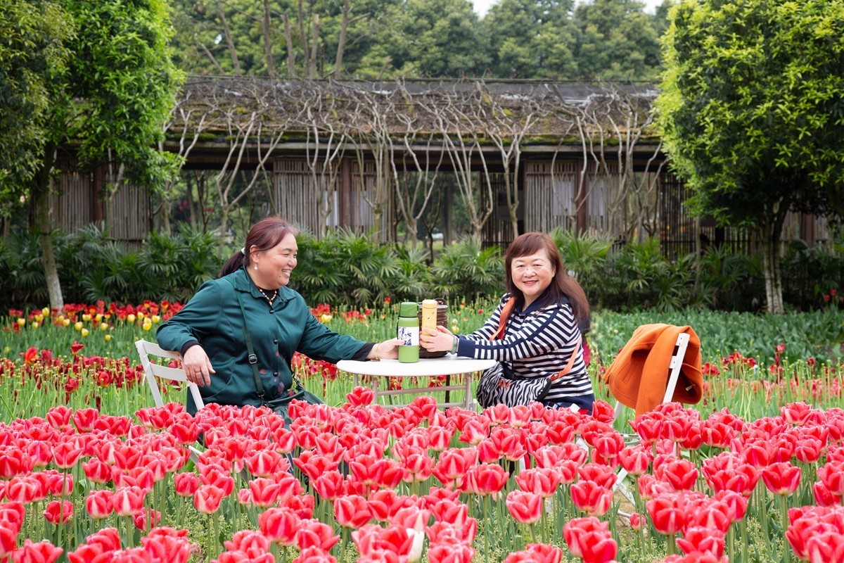 花间小憩