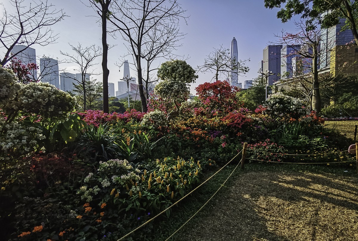 深圳蓮花山公園掠影