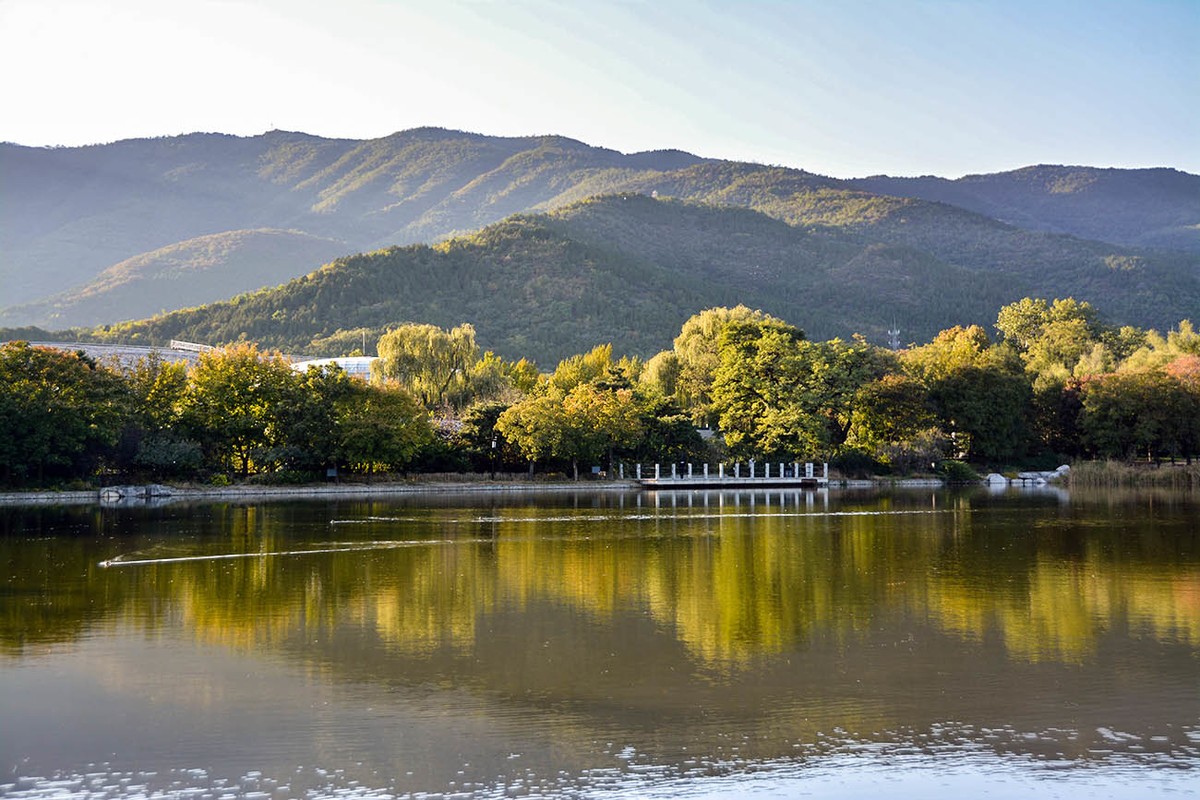 #留住美丽秋天# 植物园秋色