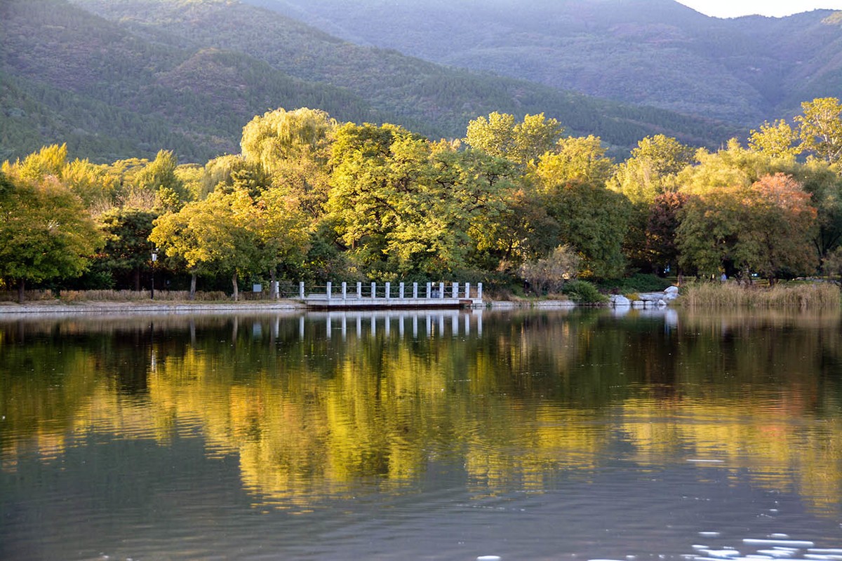 #留住美丽秋天# 植物园秋色