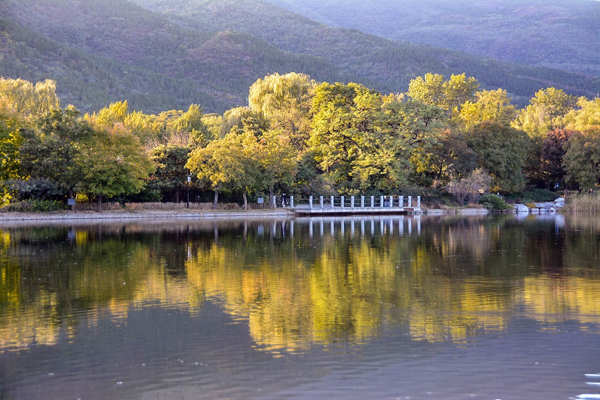 #留住美丽秋天# 植物园秋色