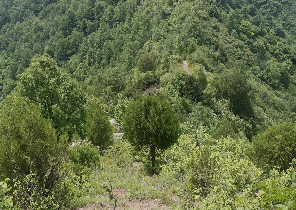 秦岭小五台风光（尼康Z7II微单与单反半画幅镜头相接的出片效果）