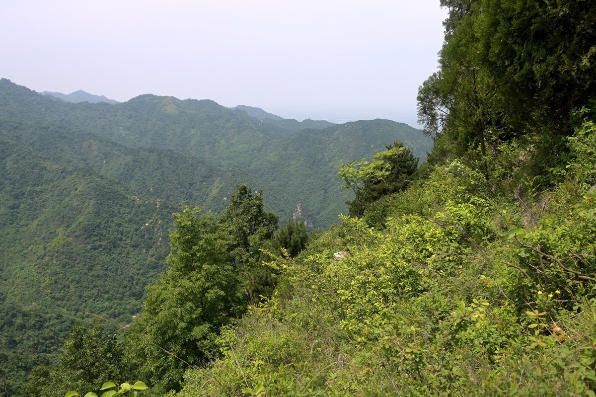 秦岭小五台风光（尼康Z7II微单与单反半画幅镜头相接的出片效果）