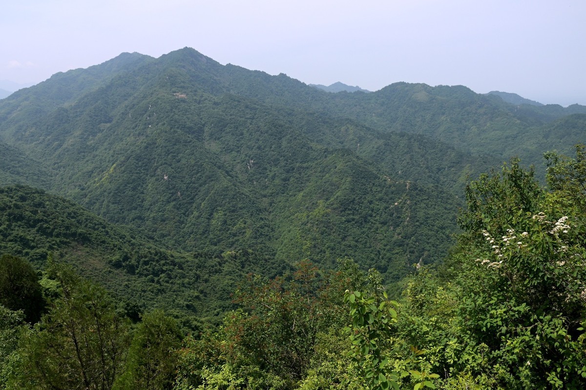 秦岭小五台风光（尼康Z7II微单与单反半画幅镜头相接的出片效果）