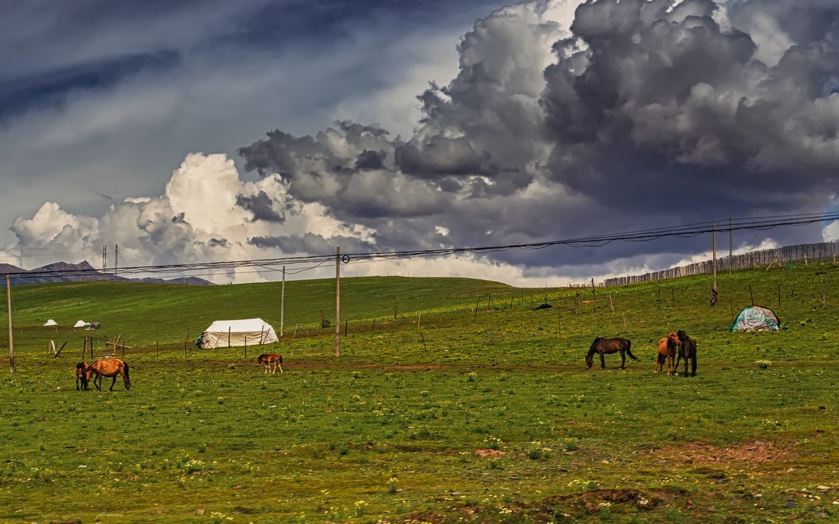 川西康定塔公草原