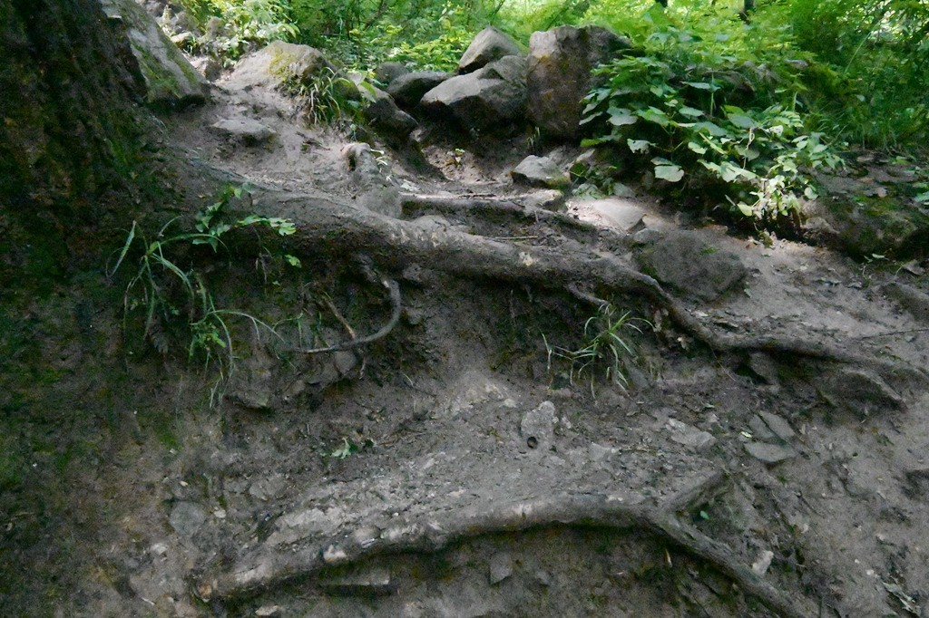 秦岭小五台随拍