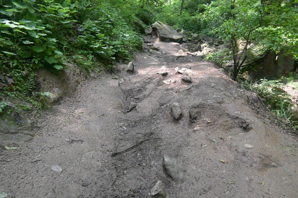 秦岭小五台随拍