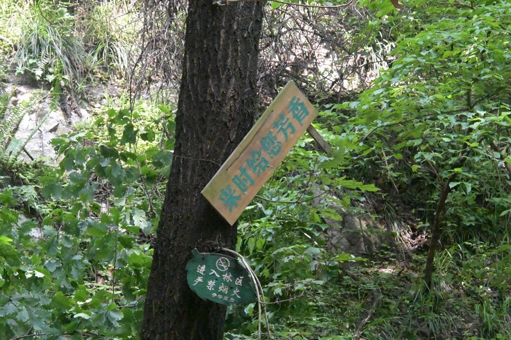 秦岭小五台随拍