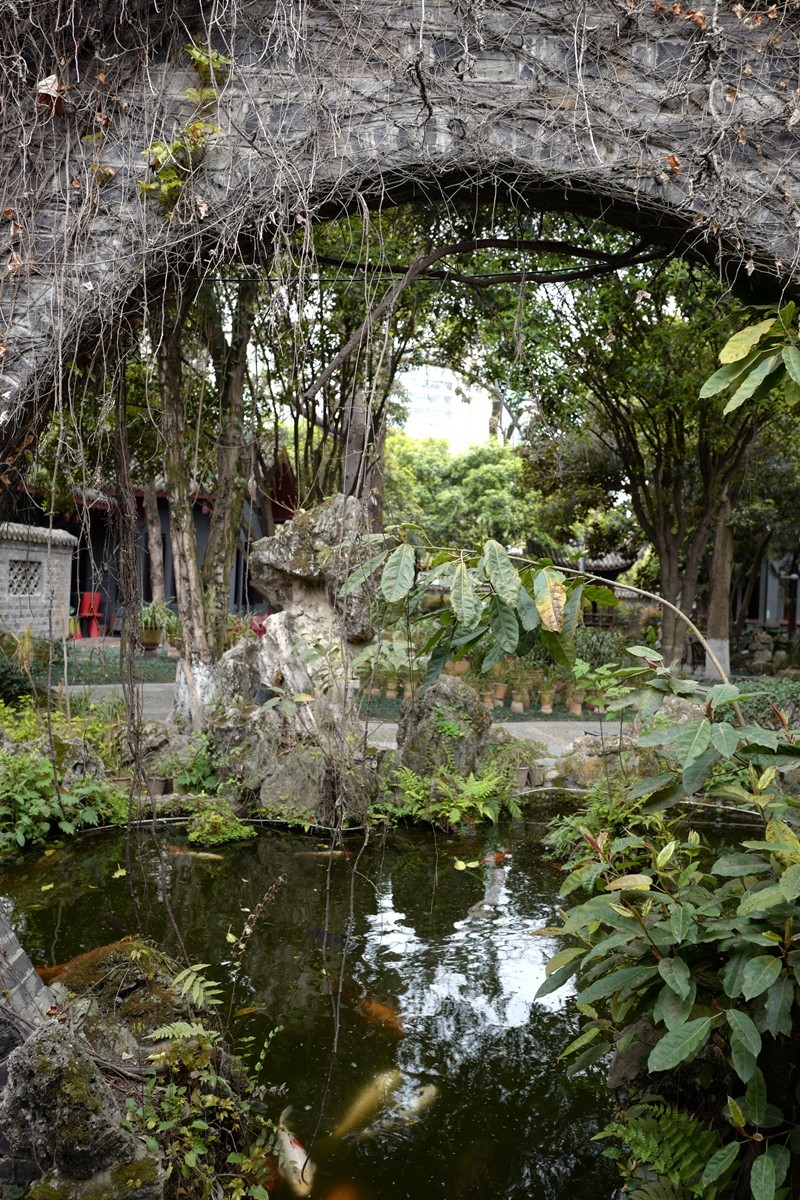 成都之行——人民公园（6）