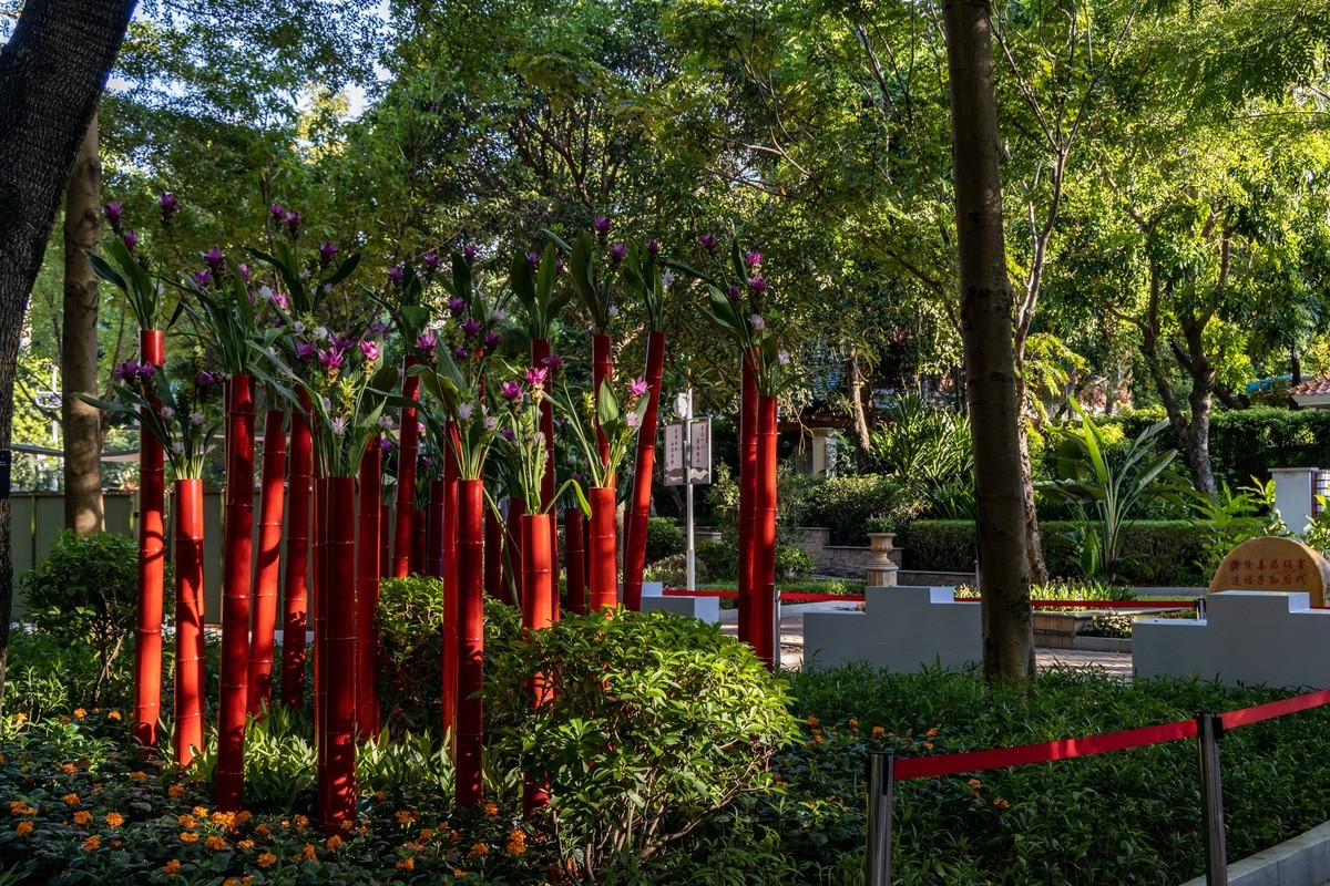 白云禁毒主题公园——姜荷花展（三）