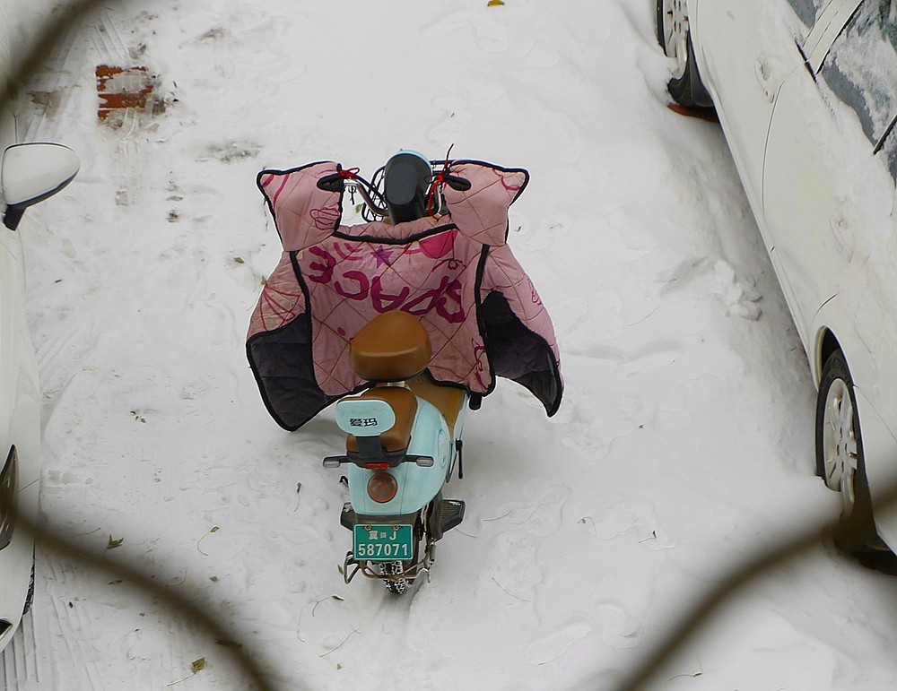 【不老松：纪实摄影】下雪天拍雪！（在室内通过防盗窗！）