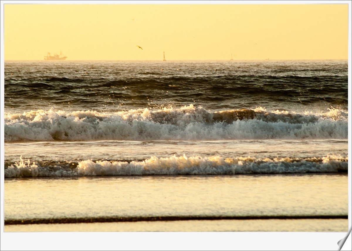 北非海滩（摩洛哥）