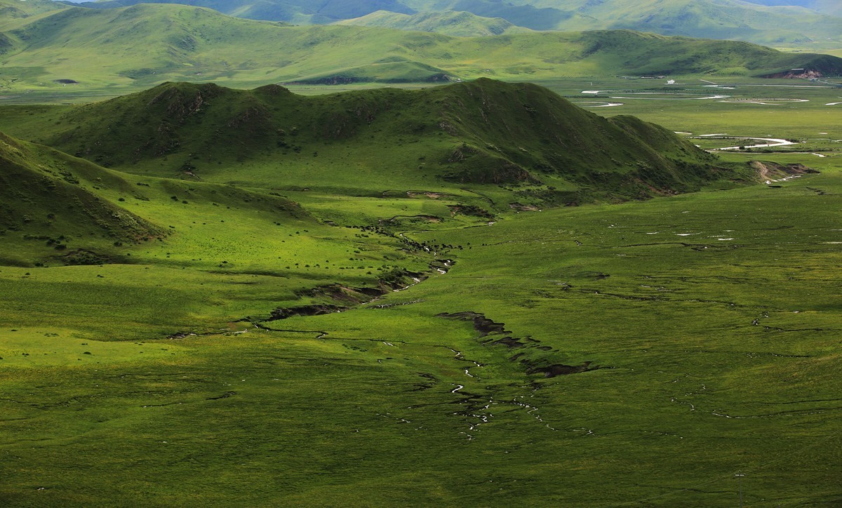 自驾若尔盖—阿坝草原光影