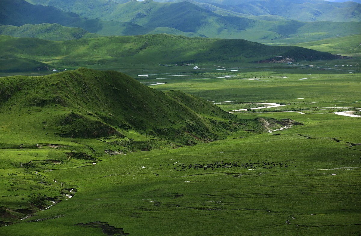 自驾若尔盖—阿坝草原光影