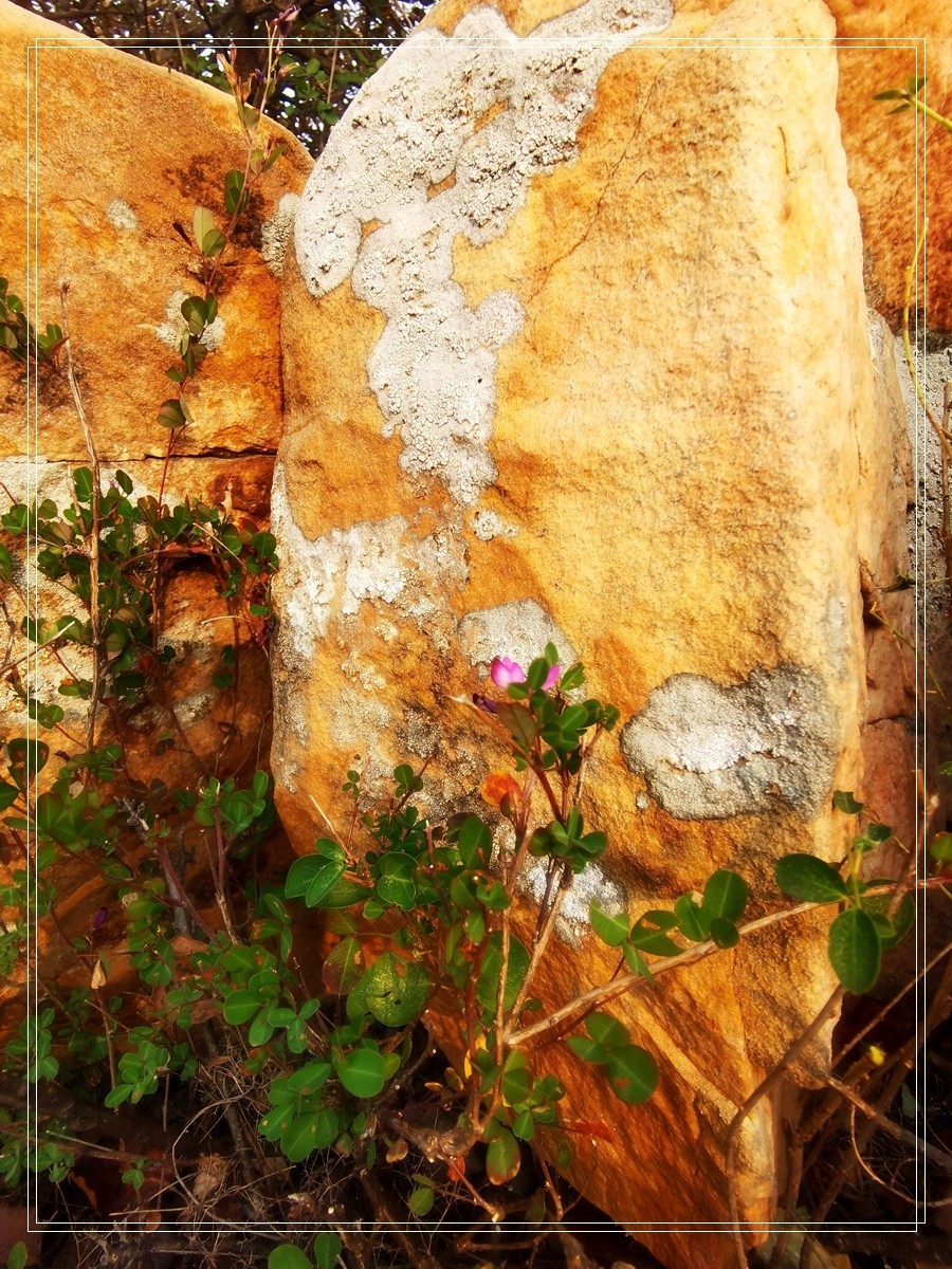 山里的石头【4】