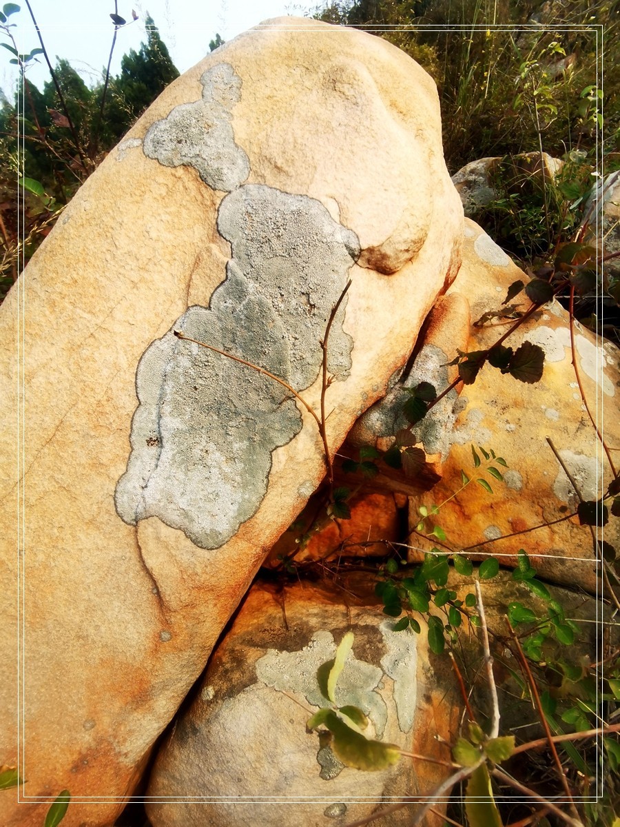 山里的石头【4】