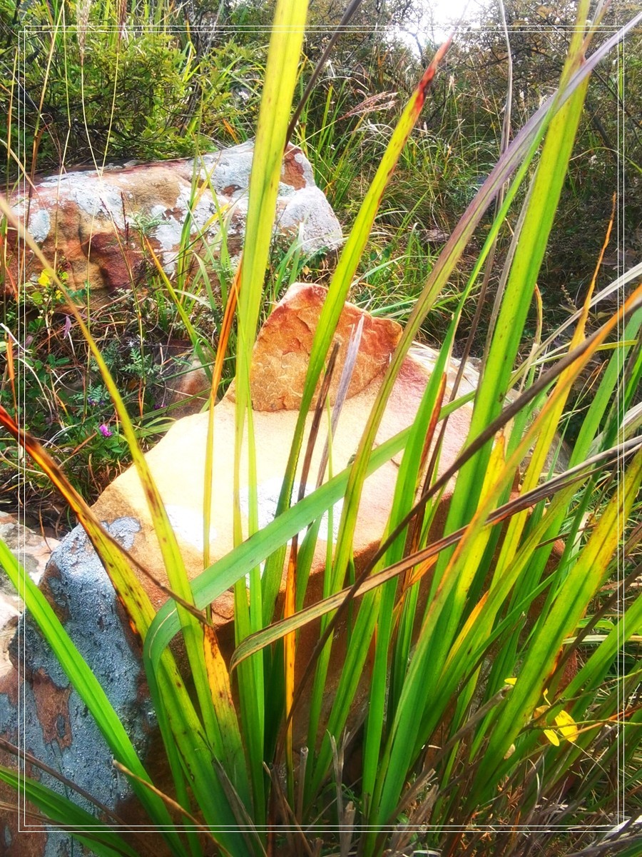 山里的石头【4】