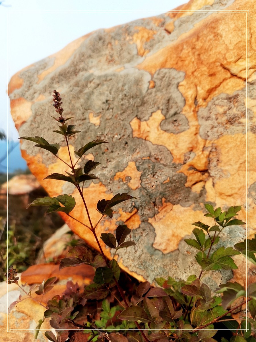 山里的石头【4】