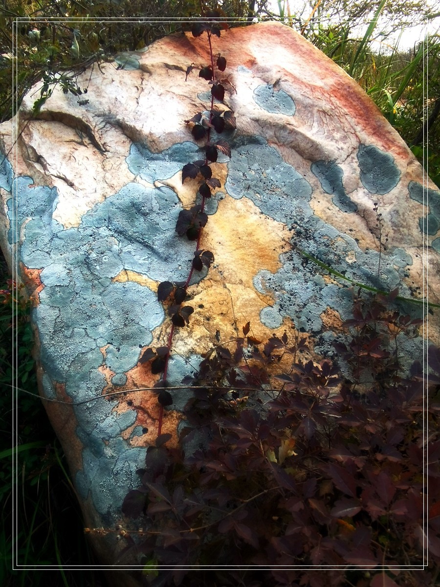 山里的石头【4】