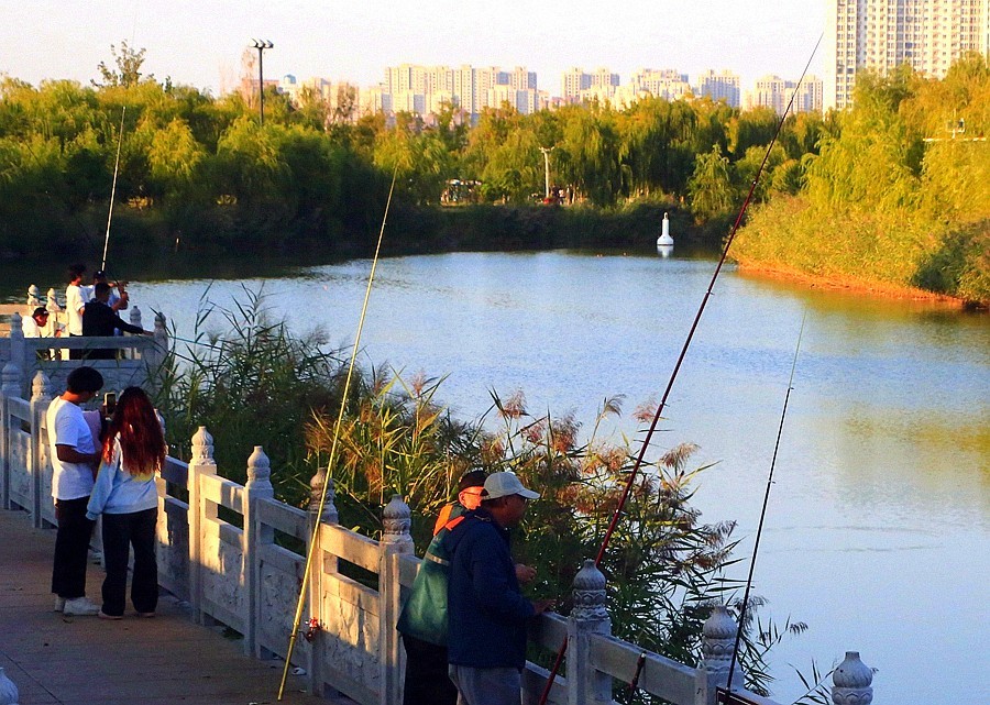 《不老松：纪实摄影》大美沧州系列報道：大运河畔钓鱼人！(3)